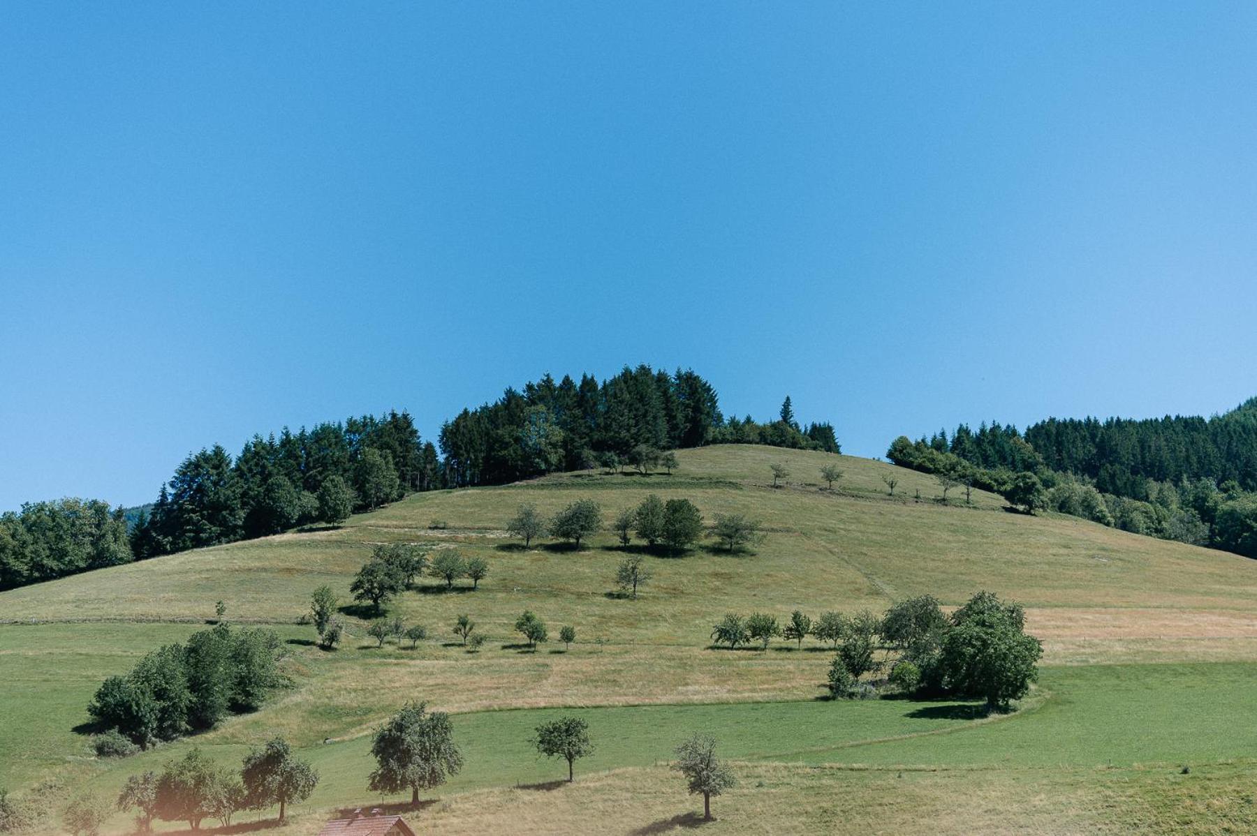 Moderne 2 Zi.-Fewo Blackforest Art Barrierefrei Naehe Freiburg Simonswald Bagian luar foto