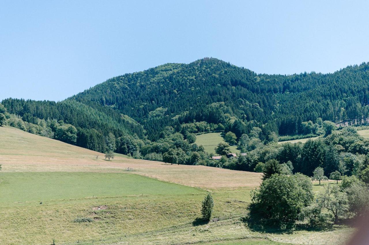 Moderne 2 Zi.-Fewo Blackforest Art Barrierefrei Naehe Freiburg Simonswald Bagian luar foto